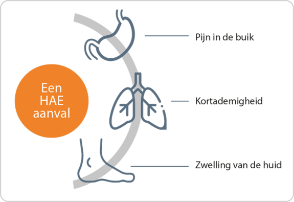 HAE-aanval_kader